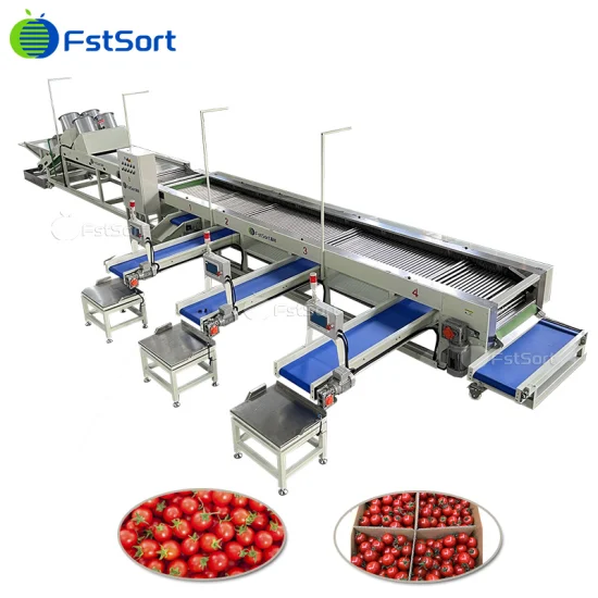 Tecnologia di lavorazione della frutta Selezionatrice per patate dolci per pomodorini Classificazione Longan Classificazione della calce Attrezzature per la lavorazione del limone